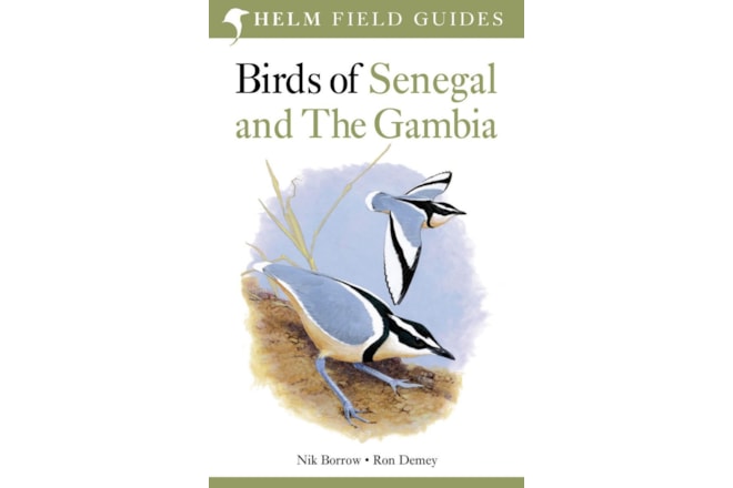 Birds of Senegal and The Gambia - BirdGuides